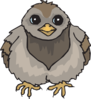 Pigeon Baby Clip Art